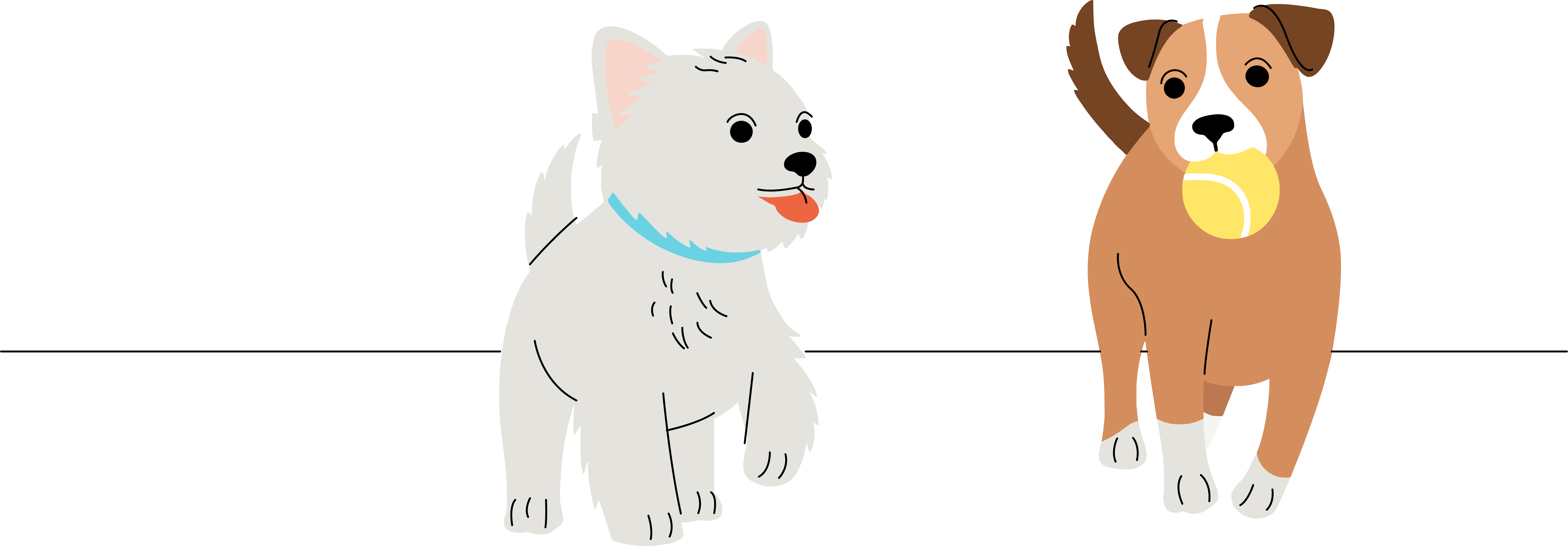 Hunde
