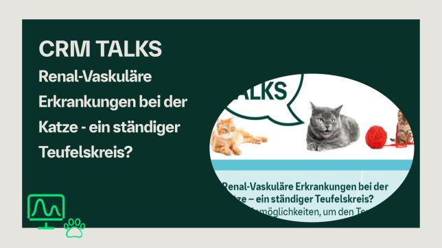 CRM Talks Katze